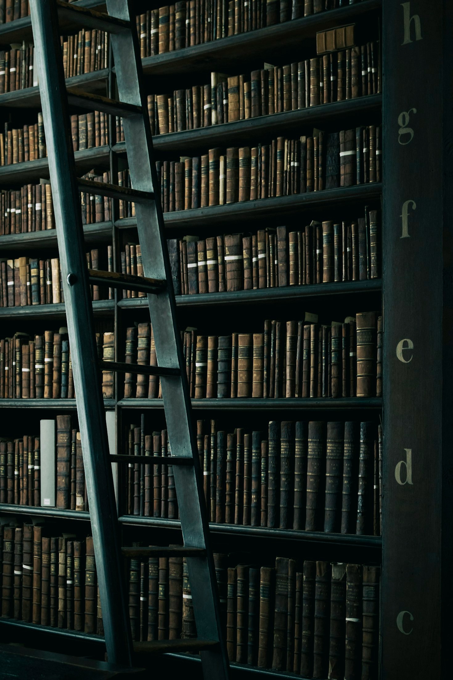 Como as Resenhas Literárias Podem Enriquecer Sua Leitura